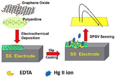EDTA Modified PANI/GO Composite Based Detection of Hg (II) Ions